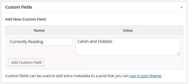 Произвольные поля в Wordpess