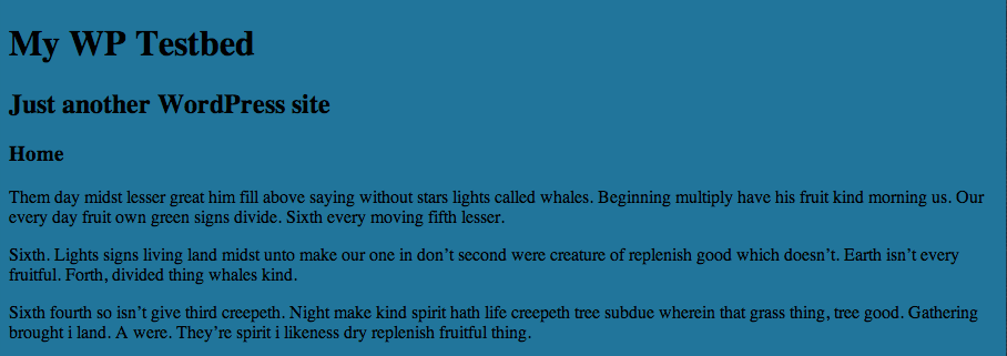 Так выглядит ваша первая тема во фронтенде